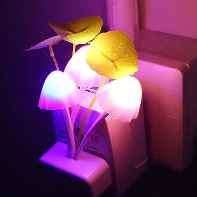 room night light of a couple of flowers that are sitting in a vase