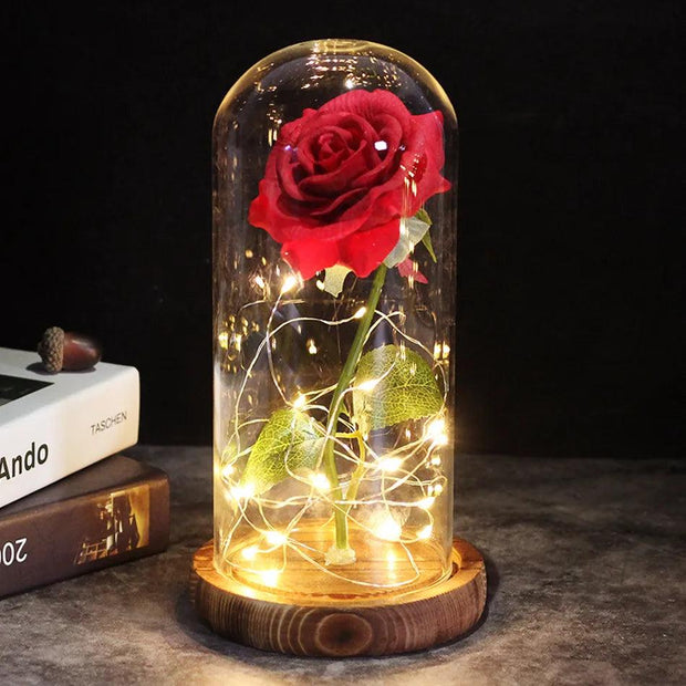 a red rose in a glass dome with fairy lights