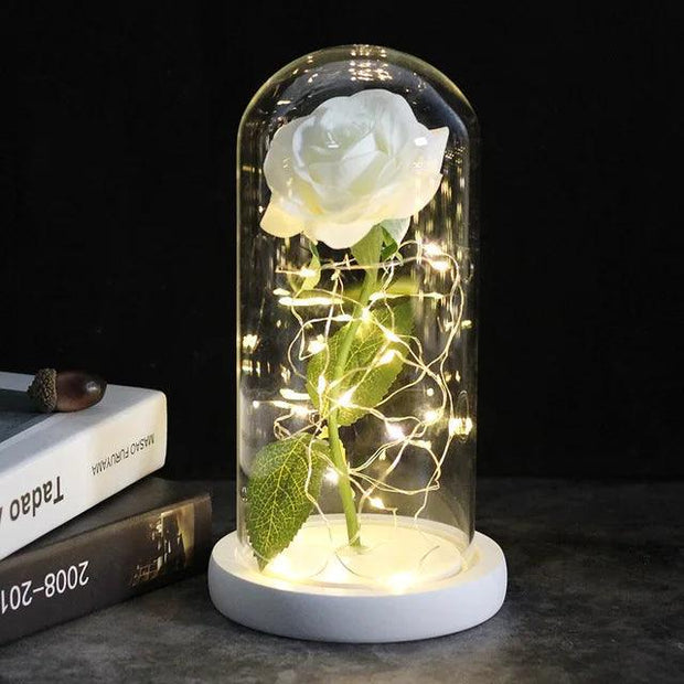 a white rose in a glass dome with fairy lights