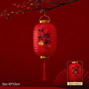 a red lantern hanging from a tree branch