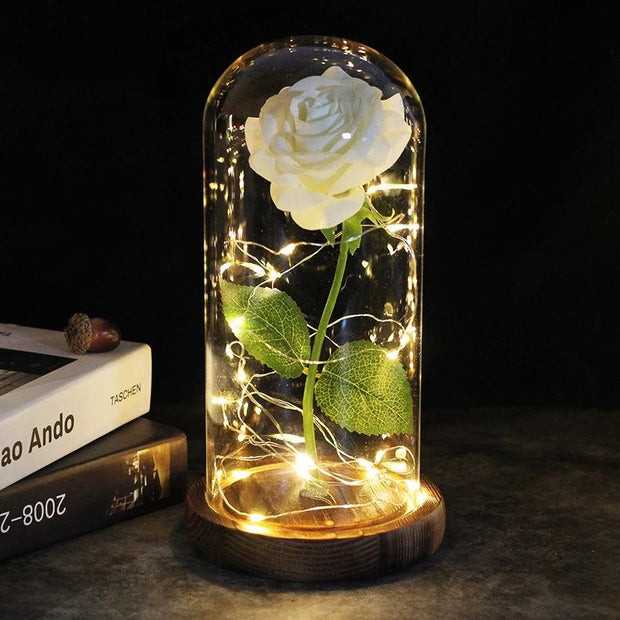 a white rose in a glass dome with fairy lights